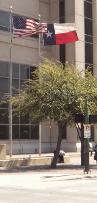 Image of Texas Flag